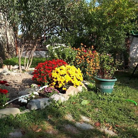 Old House Apartment With Garden Area Mtsʼkhetʼa Extérieur photo