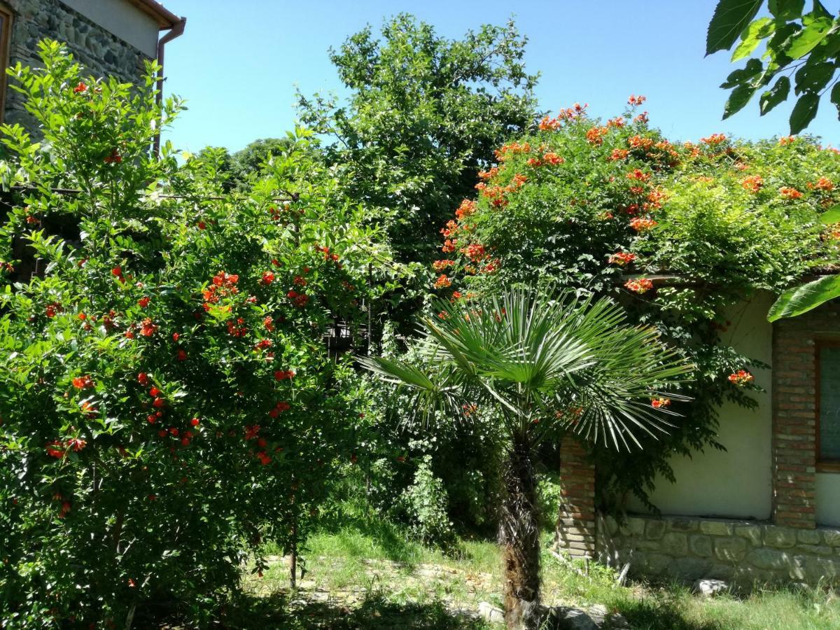 Old House Apartment With Garden Area Mtsʼkhetʼa Extérieur photo